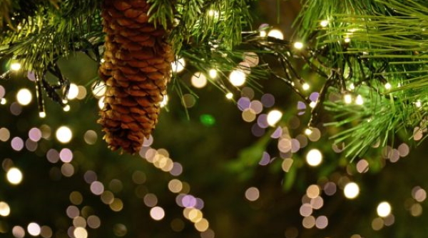 Concours des illuminations 