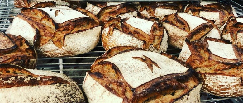 Pains Les blés de demain