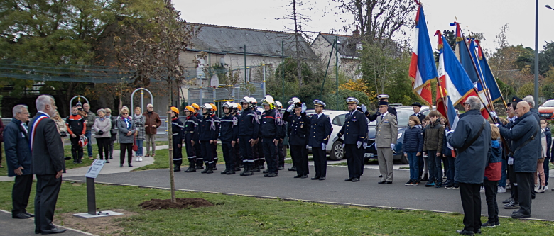 Arbre de la mémoire